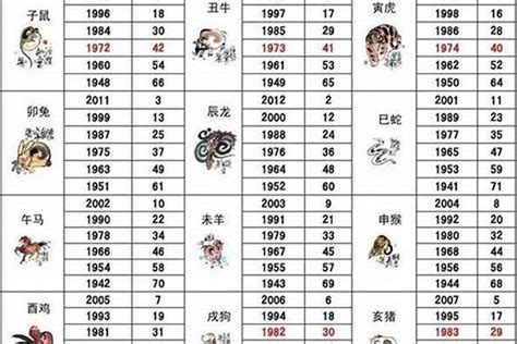 17年属什么